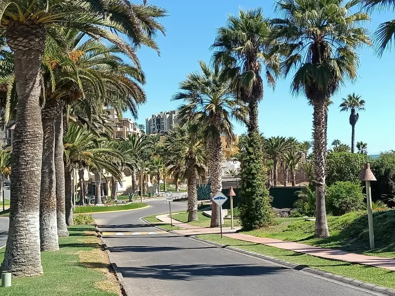 Imagen <br />
<b>Notice</b>:  Undefined index: id_imagen in <b>/home/parcela9/public_html/playa/view/home/index.php</b> on line <b>355</b><br />

